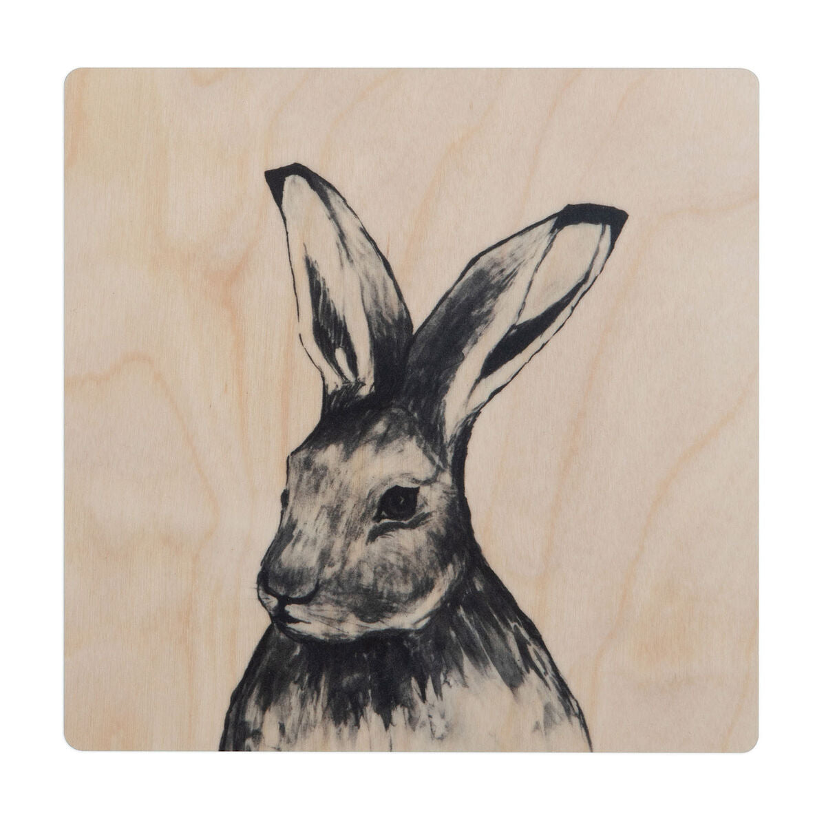 Miiko coaster, Rabbit