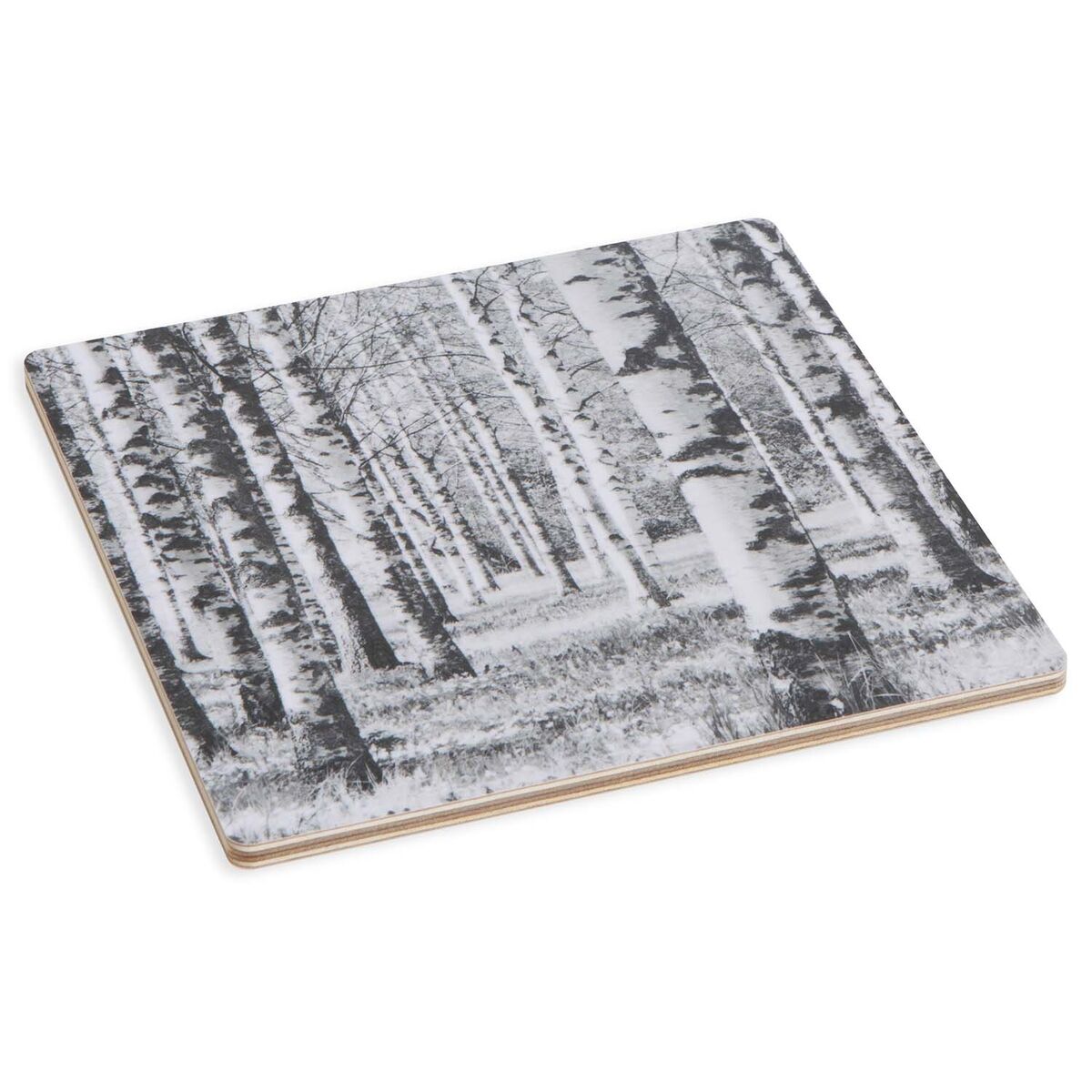Miiko coaster, birch forest black and white