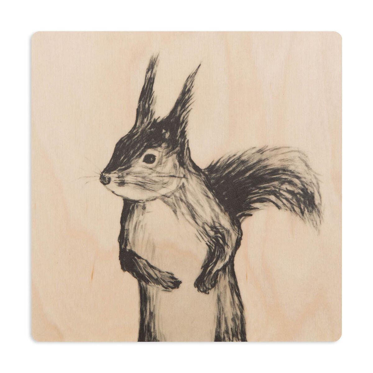 Miiko coaster, Squirrel