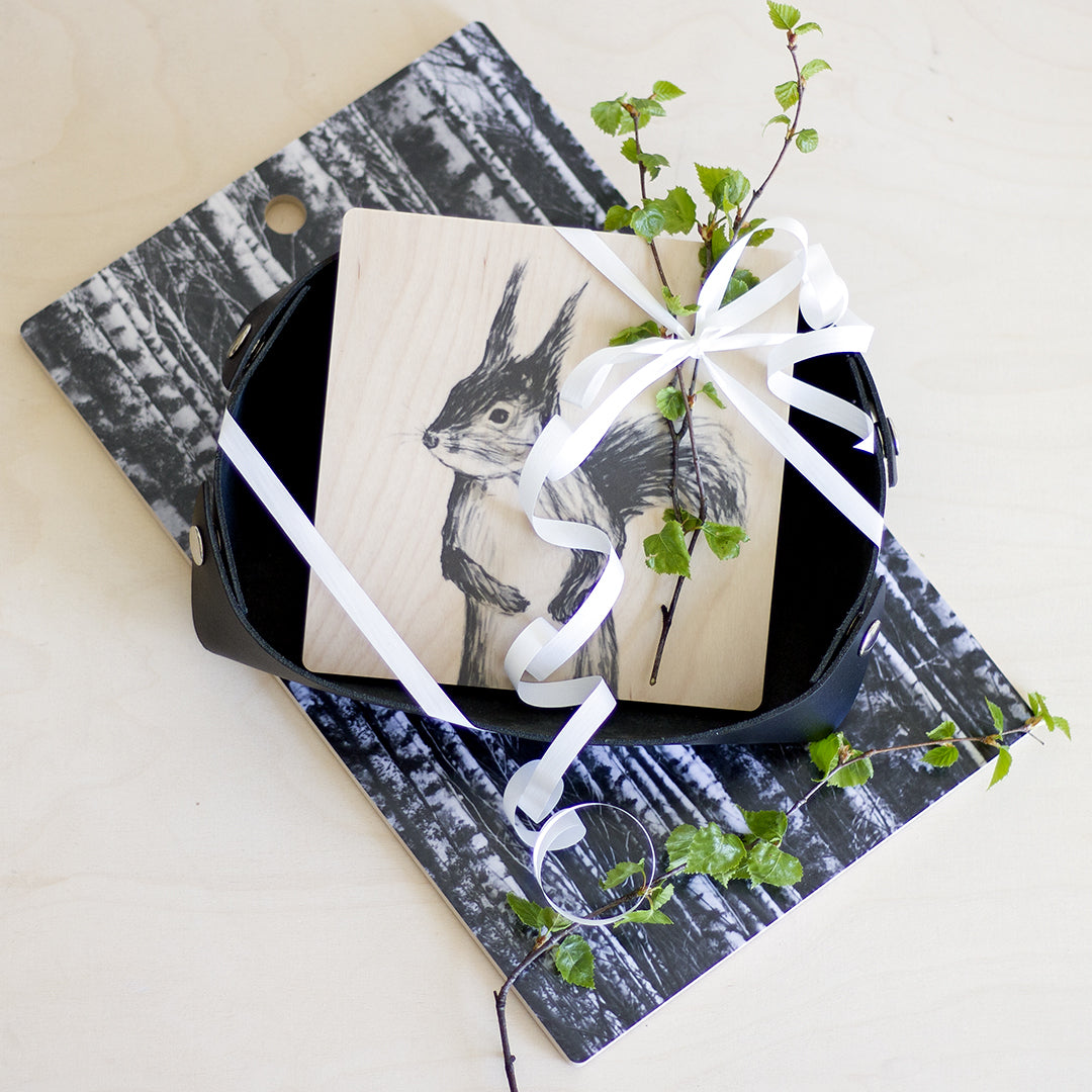 Miiko coaster, Squirrel