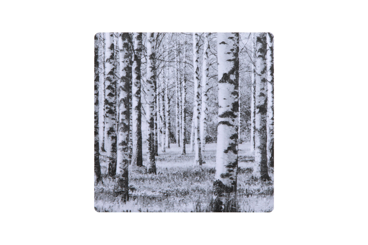 Miiko coaster, birch forest black and white