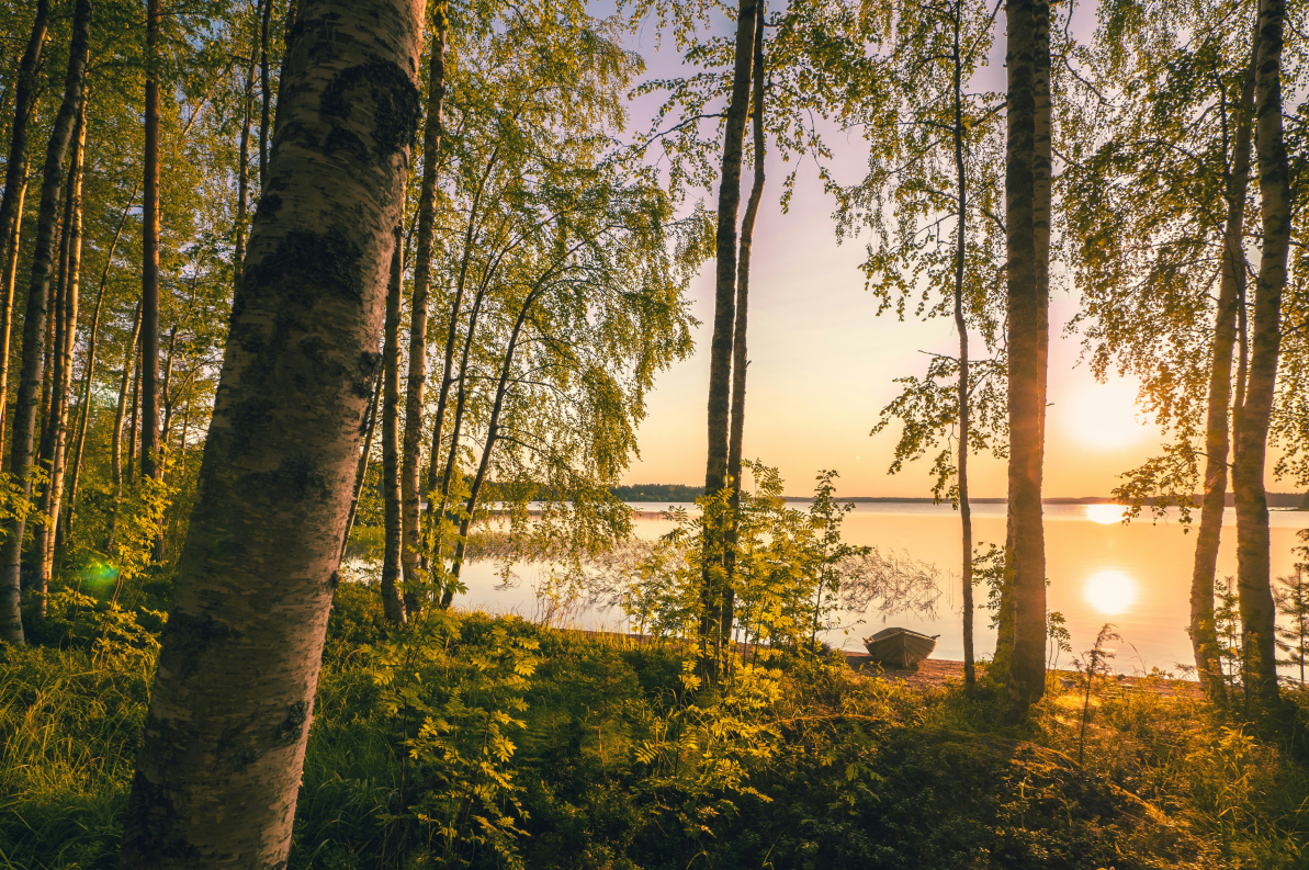 Lakka: Arktisen alueen kultainen herkku